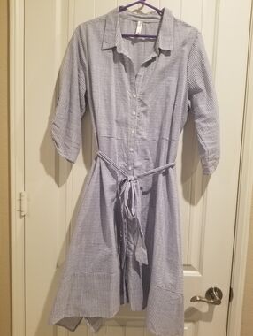 Blue/White Shirt Dress